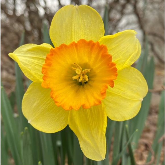 Meet your Posher, Amy - Picture 15 of 16